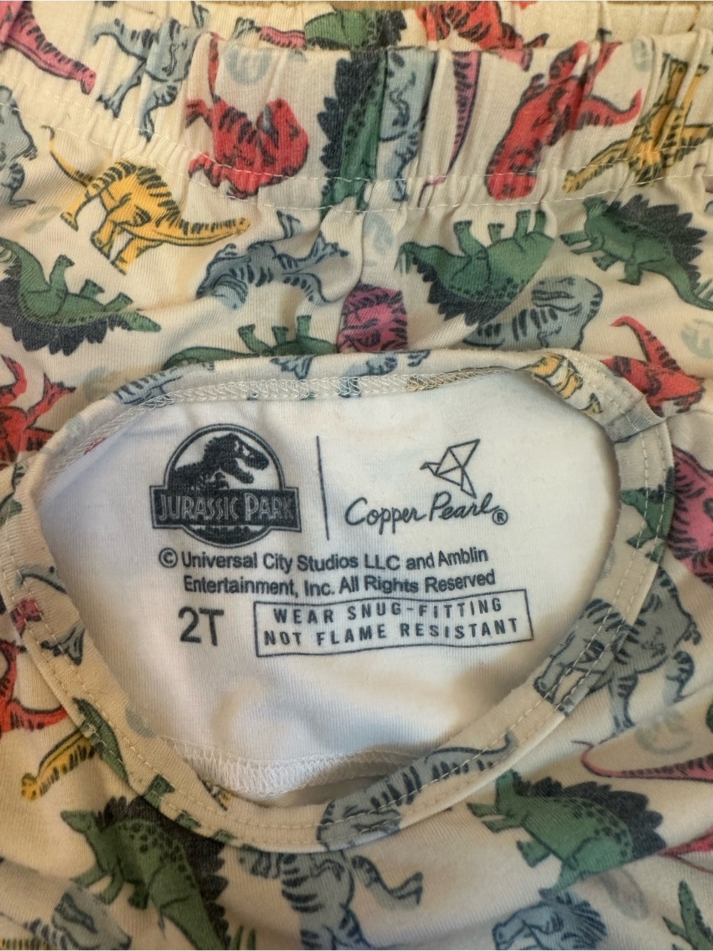 Copper Pearl Jurassic Park Kids Dinosaur Pajama Set - Multicolor Dino Print - Picture 4 of 6